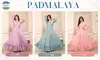 Padmalaya By Chansi Trendz Chinon Silk Gown Wholesale Cloting Distributors In India